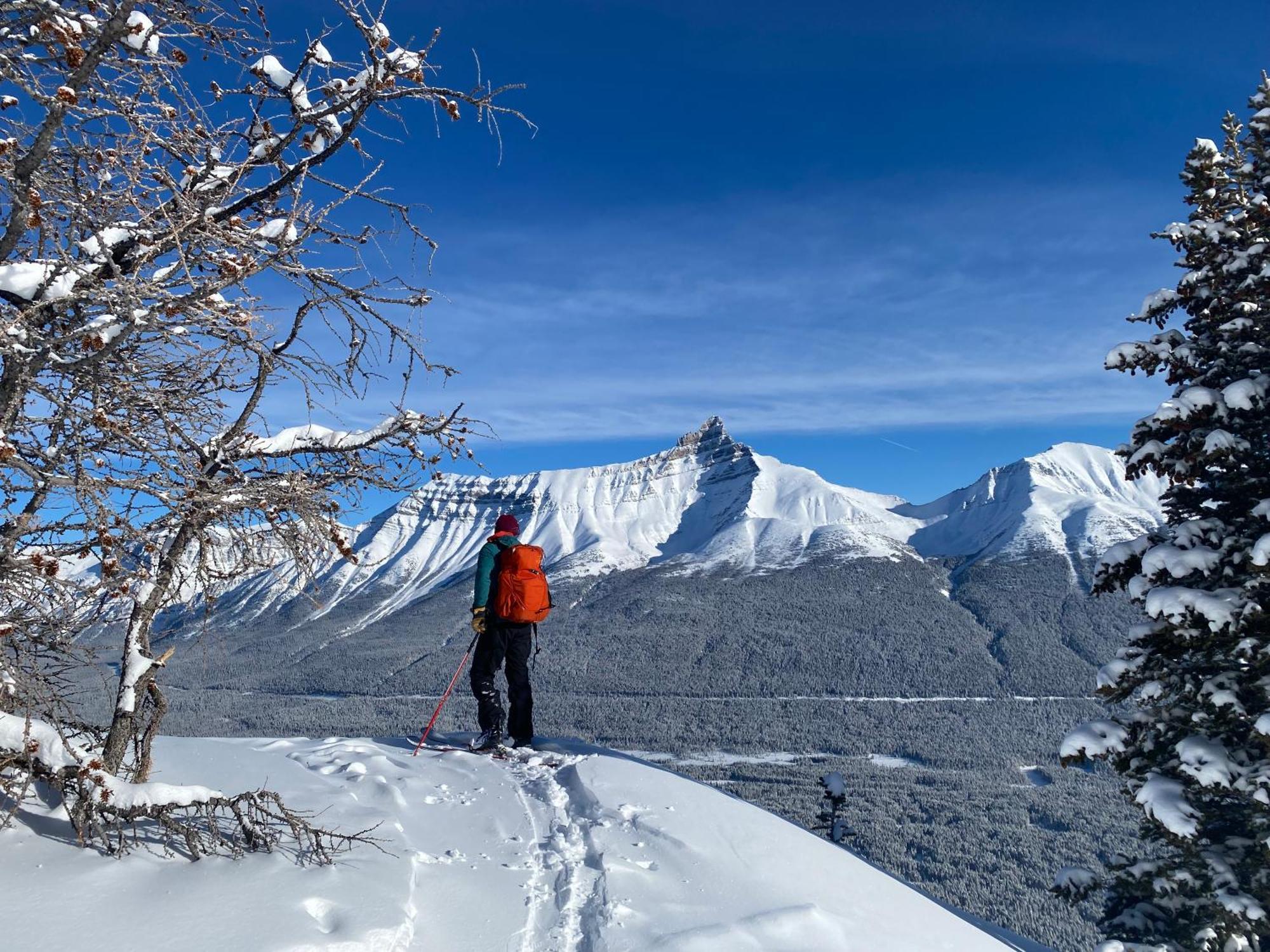 The Lodge At Bow Lake Lake Louise Buitenkant foto