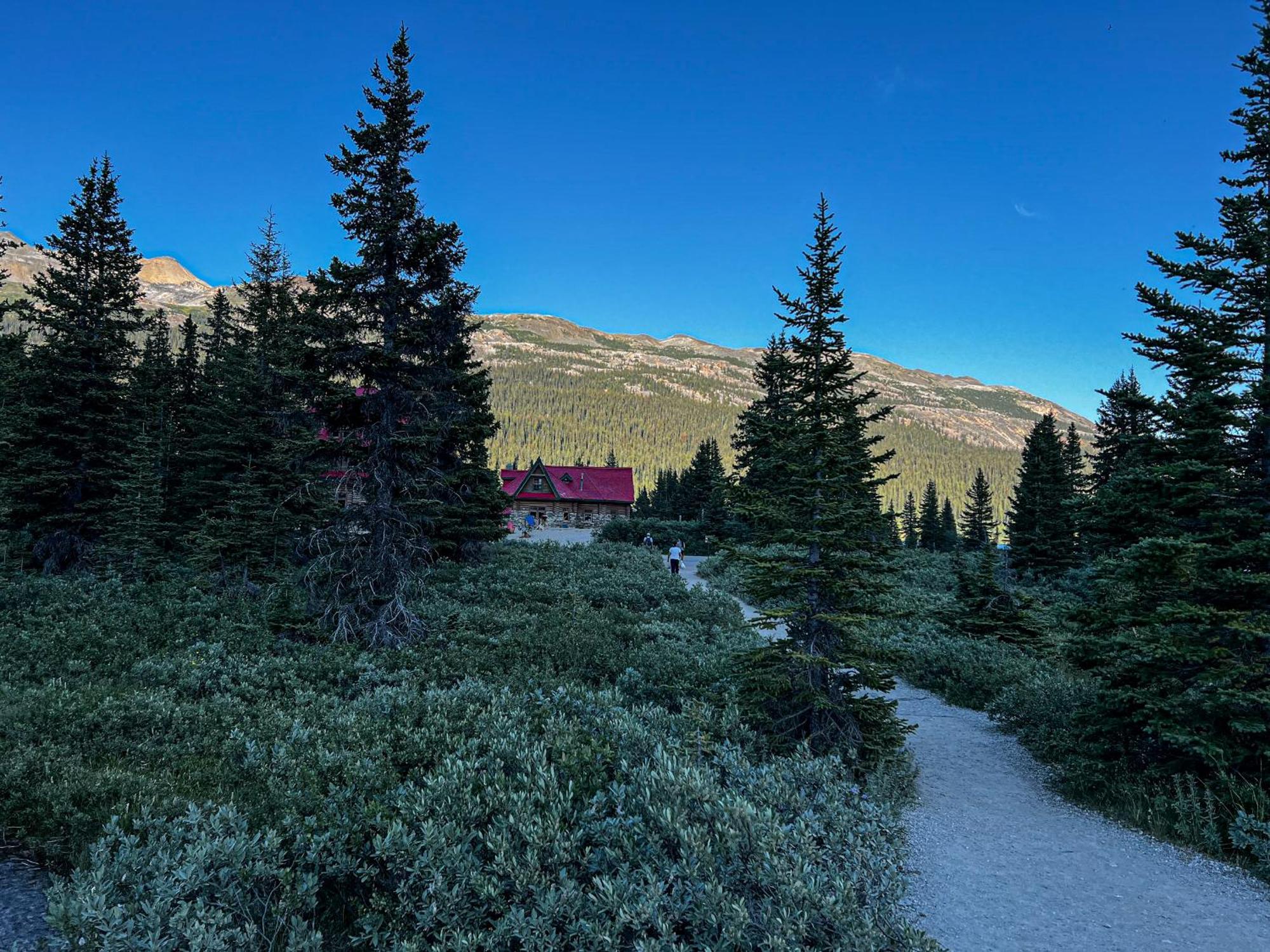 The Lodge At Bow Lake Lake Louise Buitenkant foto
