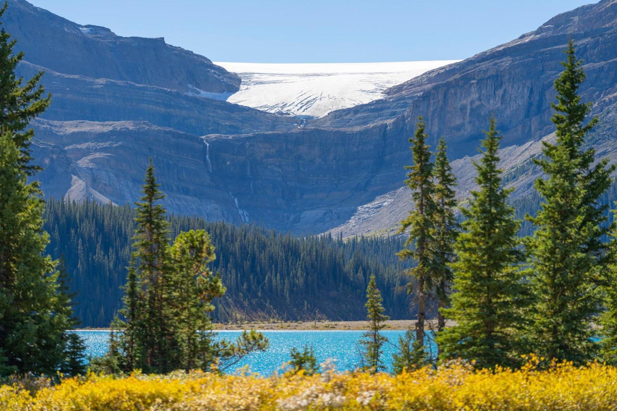 The Lodge At Bow Lake Lake Louise Buitenkant foto