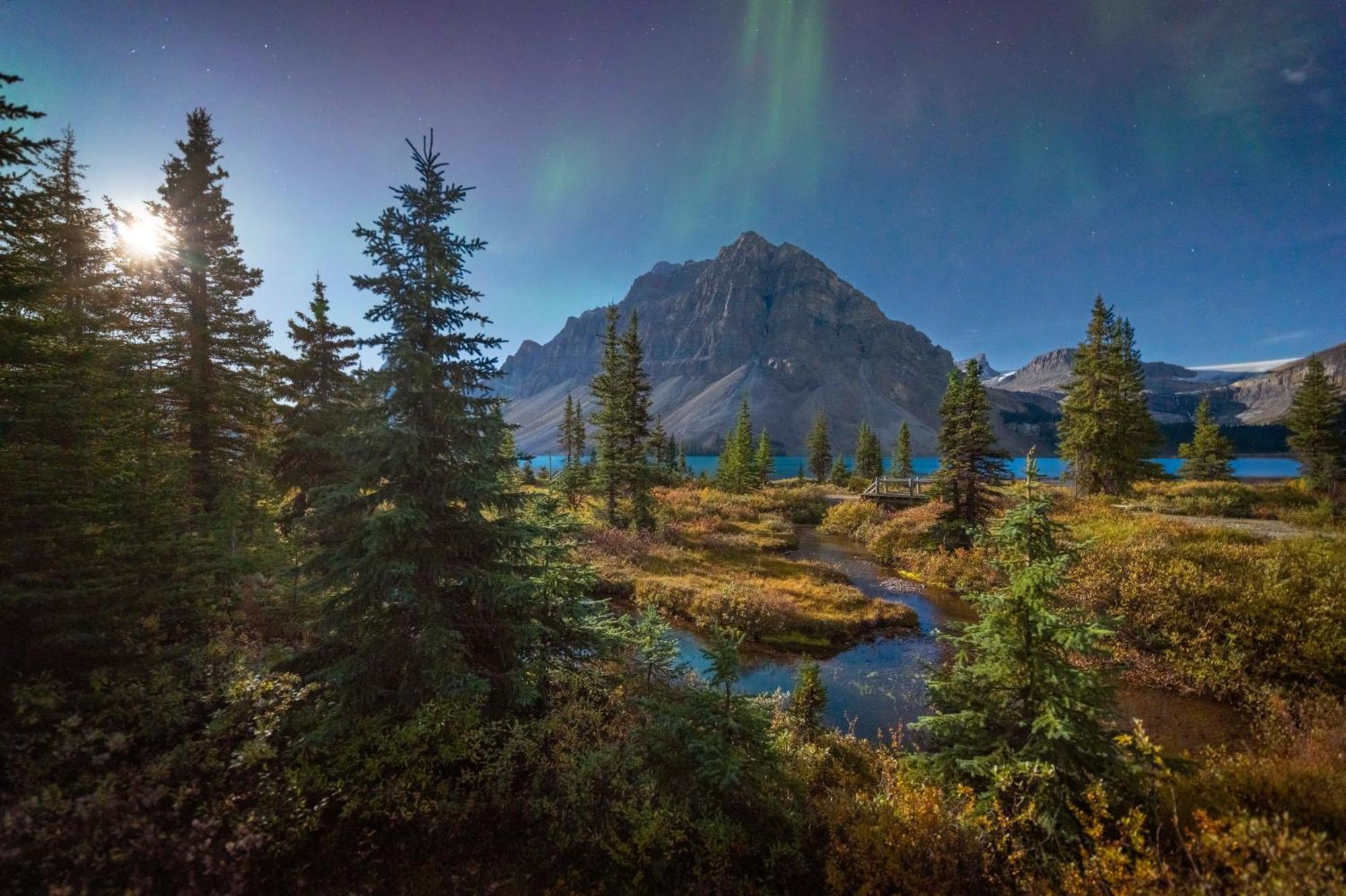 The Lodge At Bow Lake Lake Louise Buitenkant foto